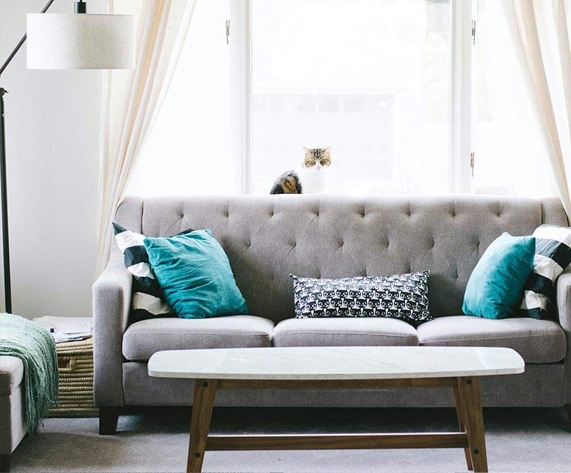 Egestas sed sed risus pretium quam vulputate card img 6@2x